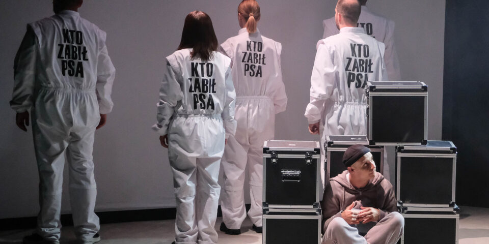 Recenzja spektaklu „Dziwny przypadek psa nocną porą” Teatru Groteska w Krakowie, Marcelina Widz